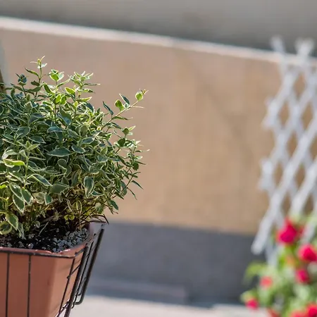 With A Parking Space Апартаменты Малинска