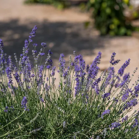 With A Parking Space Малинска